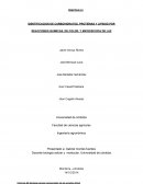PRACTICA # 4 IDENTIFICACION DE CARBOHIDRATOS, PROTEÍNAS Y LIPIDOS POR REACCIONES QUIMICAS, DE COLOR, Y MICROSCOPIA DE LUZ