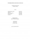 Rubro de la empresa: Seguridad Capital Humano
