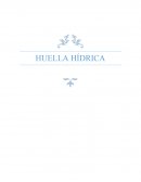 Huella Hídrica-Proyecto Final