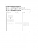 Área de producción