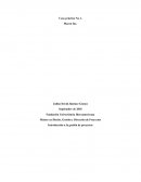 Caso práctico No 1. Macon Inc.