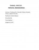 TRABAJO PRÁCTICO PROYECTOS ORGANIZACIONALES