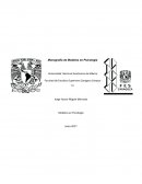 Modelos de Psicología