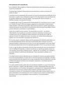 Determinantes de la autoeficacia