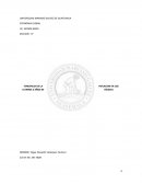 TENDENCIA DE LA INFLACION EN LOS ULTIMOS 5 AÑOS DE BÉLGICA