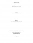 Pruebas en el proceso penal