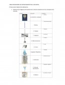 Tarea 06 LE-Muestreo y prep. muestra LACC-ELEAR