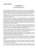 Medio ambiente. Contaminacion