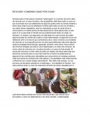 BITACORA *COMIENDO SANO POR 5 DIAS*