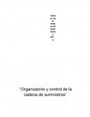 Cadena de suministros. “Organización y control de la cadena de suministros”