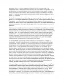 Informe pelicula UNDERGROUND