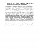 DESCRIPCIÓN DE HECHOS ATRIBUIDOS, CIRCUNSTANCIAS PRECEDENTES, CONCOMITANTES Y POSTERIORES