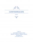 CONTAMINACION ENSAYO