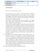 Características PEC