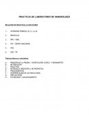 PRACTICAS DE LABORATORIO DE INMUNOLOGÍA RELACION DE PRÁCTICAS A EJECUTARSE