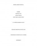 RESEÑA CINEMATOGRAFICA