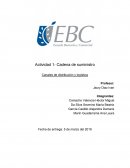 Actividad 1- Cadena de suministro Canales de distribución y logística