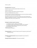 Estrategias genéricas: (fundamental)