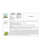 CONTENIDOS PROGRAMÁTICOS