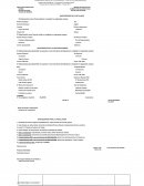 Programa de Capacitación y Transferencia Tecnológica para la Pequeña Minería Artesanal (PAMMA) - Proceso 2019