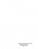 Marketing Estrategico, lavanderia