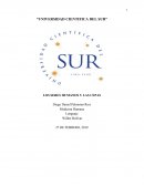 EL SER HUMANO Y LAS CEPAS