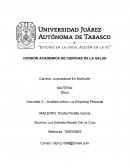 Análisis crítico: La Empresa Personal