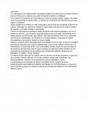 ¿Qué es un hidrocarburo?