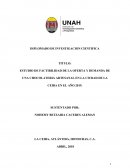 ESTUDIO DE FACTIBILIDAD DE LA OFERTA Y DEMANDA DE UNA CHOCOLATERIA ARTESANAL EN LA CIUDAD DE LA CEIBA EN EL AÑO 2019