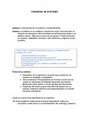 THINKING IN SYSTEMS RESUMEN