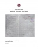 Informe de física Laboratorio “Movimiento de un insecto”