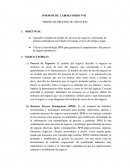 INFORME DE LABORATORIO N°03 “DISEÑO DE PROCESO DE NEGOCIOS”
