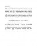 Plan de desarrollo analisis