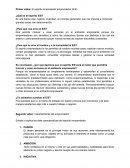 Primer video: El espíritu empresarial/ emprendedor (E/E)