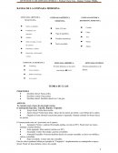 RAMAS DE LA GIMNASIA MODERNA