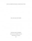 ENSAYO LOS DERECHOS HUMANOS, LOS DERECHOS DE TODOS