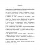 Adaptación El niño de 0 a 6 años