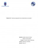 Práctico N°3: “Técnicas de separación de los componentes de una mezcla"