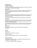 Criterios de trabajo final para proyecto