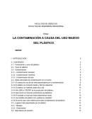 LA CONTAMINACIÓN A CAUSA DEL USO MASIVO DEL PLÁSTICO