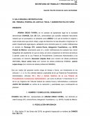 Escrito Inicial de Juicio de Nulidad