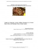 Unidad de Producción Avícola (Gallinas Ponedoras) en el Sector Banco Obrero del Municipio Tinaco, Estado Cojedes