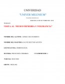 TRABAJO: VISITA AL “MUSEO MEMORIA Y TOLERANCIA”