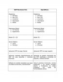 Sap y Open bravo (ERP)