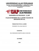 PLAN DE REDISEÑO DEL ILUSTRE COLEGIO DE ABOGADOS DE ICA