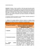 Informe auditoria AA1