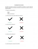 Investigacion de Mercado. Estrategia Segmentación