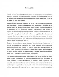 SISTEMAS DE CONTROL INTERNO. Página 1