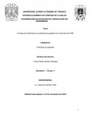 Proceso de enfermería en prácticas de pediatría en el servició de UCIN
