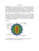 Biología celular y molecular del virus de inmunodeficiencia humana (VIH)